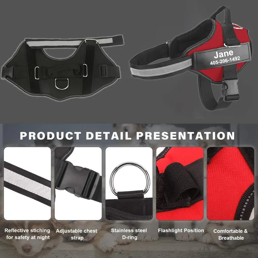 Adjustable I YAN reflective dog harness with breathable, no-pull vest for small and large dogs, showing the harness on a dog.
