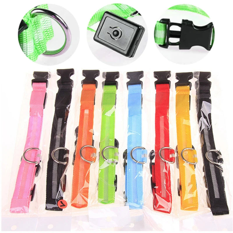 USB rechargeable LED glowing dog collar by I YAN, illuminated safety light for small dogs and cats in low light.