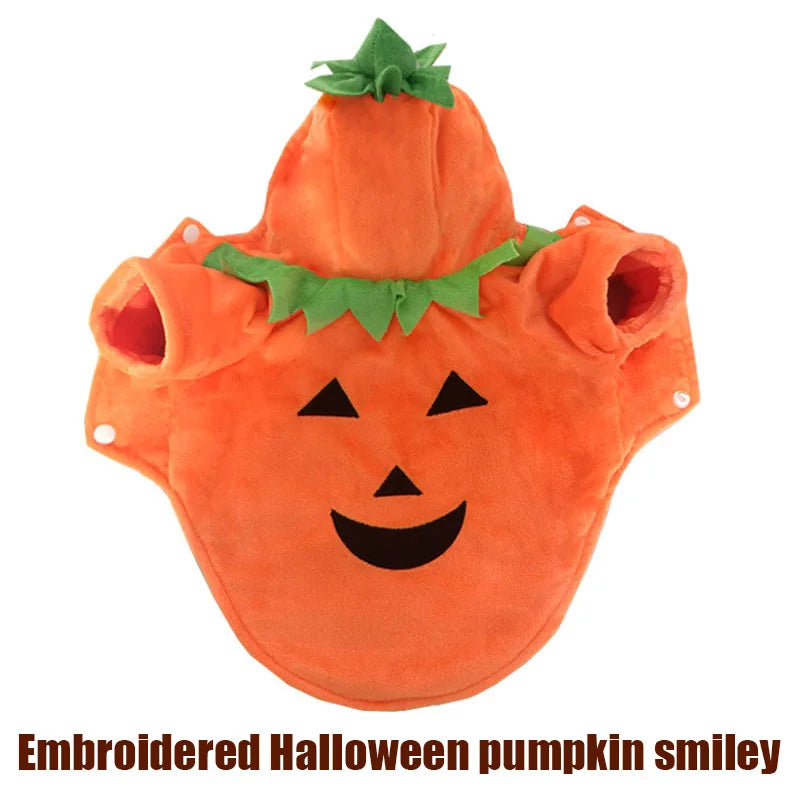 Pet Clothing, Pumpkin, Funny Clothing,  Cute Halloween Clothing, Dog Clothing
