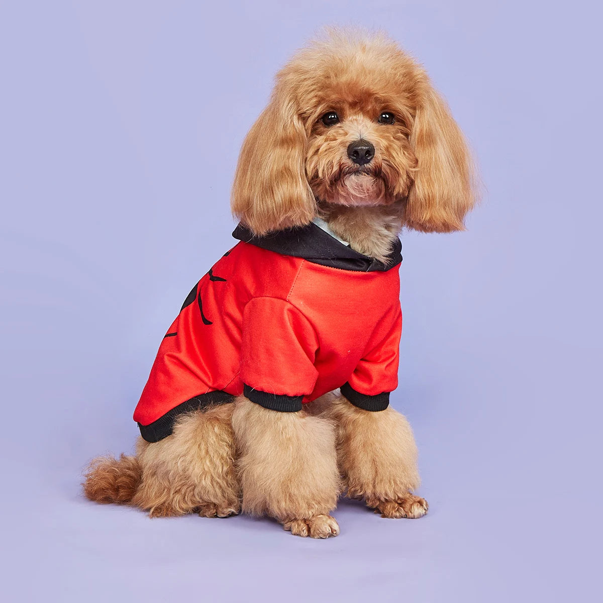 Pet Dog Cat Halloween Hoodies Scary Spider Shirt Dog Sweatshirts Apparel Comfortable Pet Turtleneck Puppy for Halloween  Holiday