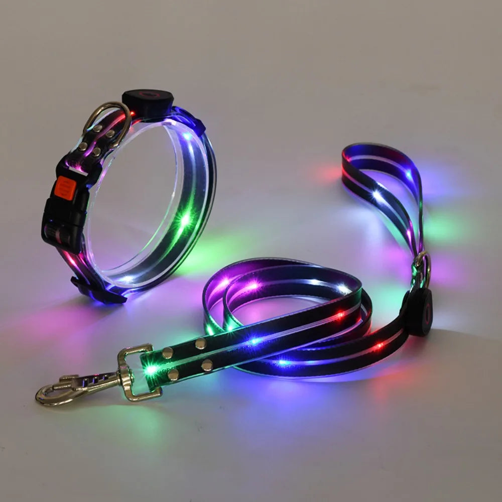 Rechargeable LED dog collar and leash set by I YAN, glow-in-the-dark safety features, adjustable for night walks.