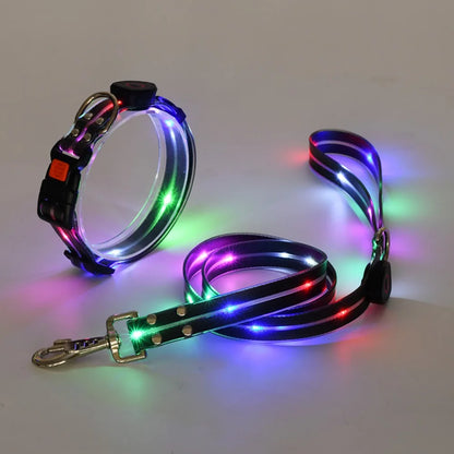 Rechargeable LED dog collar and leash set by I YAN, glow-in-the-dark safety features, adjustable for night walks.
