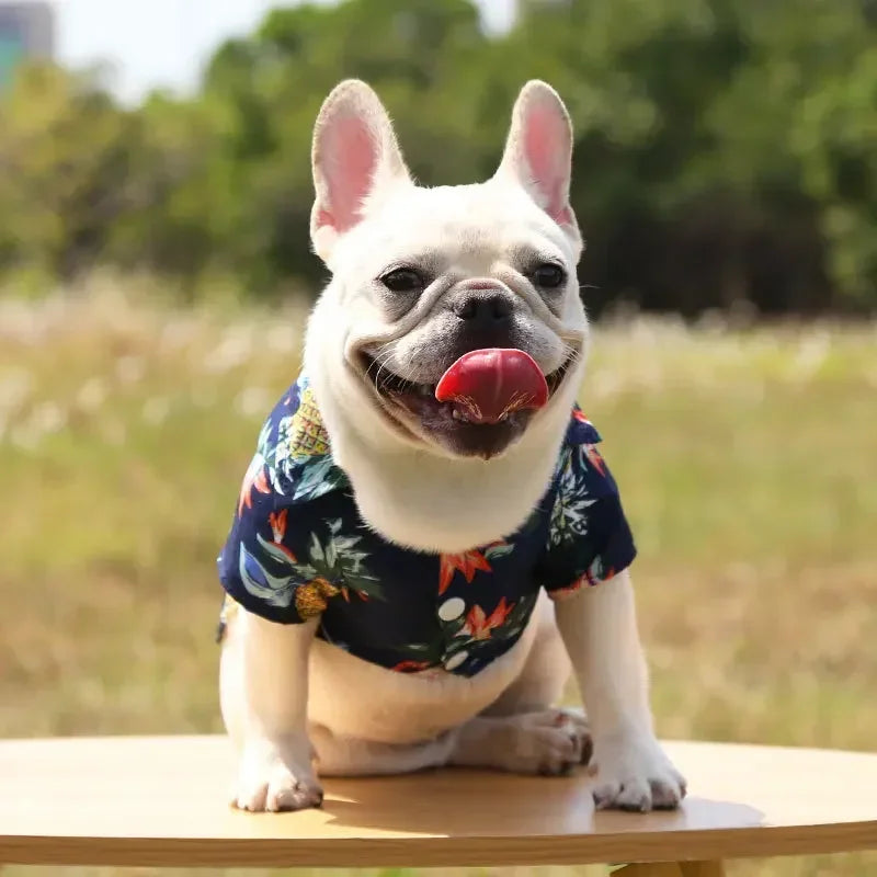 I YAN Hawaiian style pet dog shirt for small and medium dogs, featuring a summer sand beach design for puppies, pugs, and French Bulldogs.