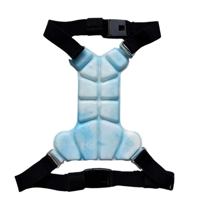 Lightweight I YAN Gel Dog Cooling Vest harness on a small dog, providing heat relief with breathable, cooling gel for comfort.