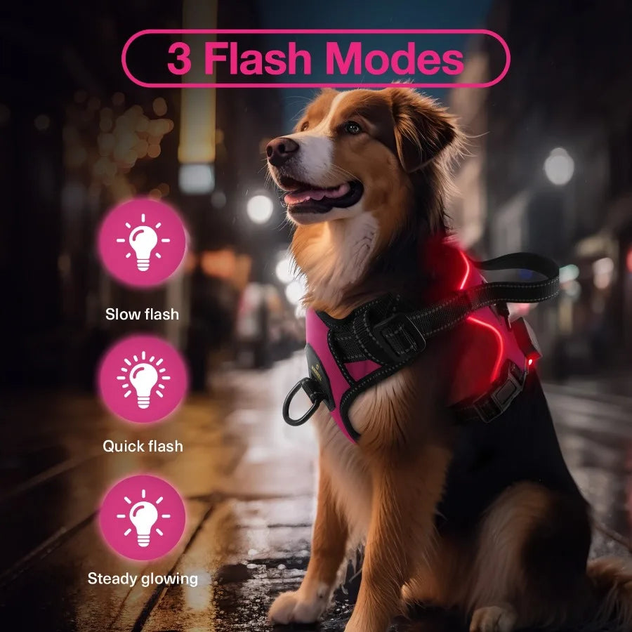 Light Up Dog Harness - No Pull Led Dog Harness Rechargeable Lighted Dog Harness for Night Walking Adjustable Glow Vest for Smal