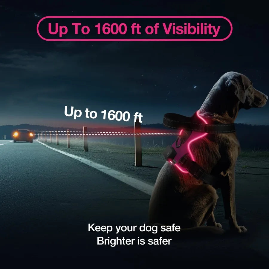 Light Up Dog Harness - No Pull Led Dog Harness Rechargeable Lighted Dog Harness for Night Walking Adjustable Glow Vest for Smal