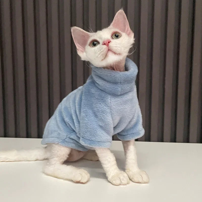Sphynx cat wearing a fashionable I YAN kitten sweater, showcasing cozy pet clothing and jumpsuit for cats and small dogs.