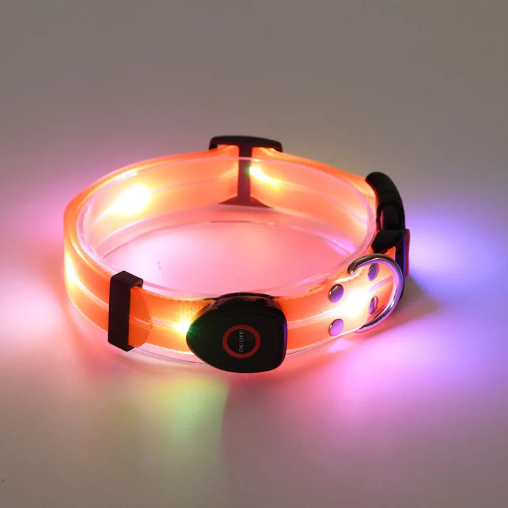 Rechargeable LED dog collar and leash set by I YAN with glow-in-the-dark safety features, shown in a close-up image.