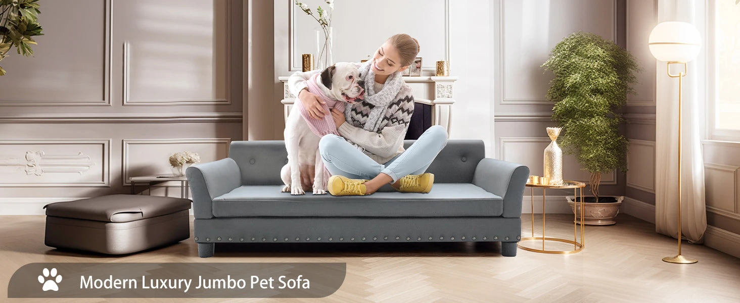 BINGOPAW Rectangle Pet Bed for Medium and Large Dogs, Durable Elevated Dog Sofa Bed, Comfortable Dog Couch, Modern Dog Sofa