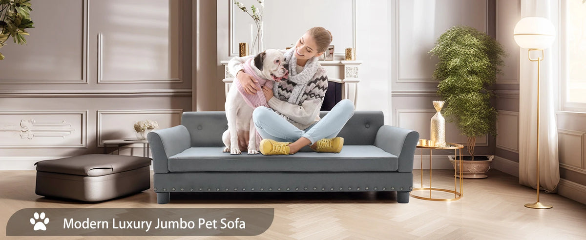 Comfortable I YAN BINGOPAW rectangular dog bed for medium and large dogs, with a durable elevated design and modern sofa style.