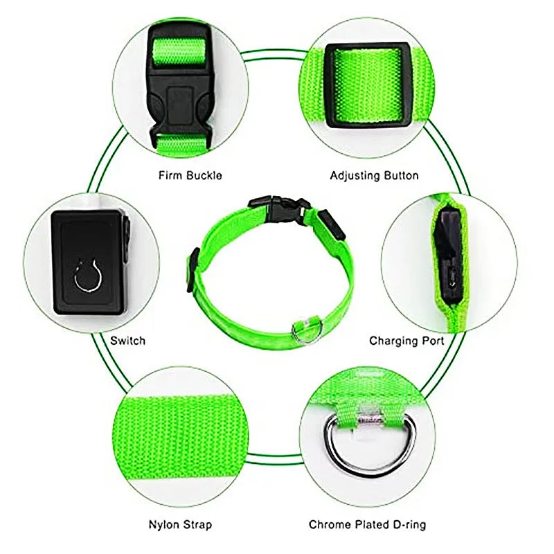 LED glowing dog collar by I YAN with USB rechargeable safety light for small dogs and cats, visible in the image.