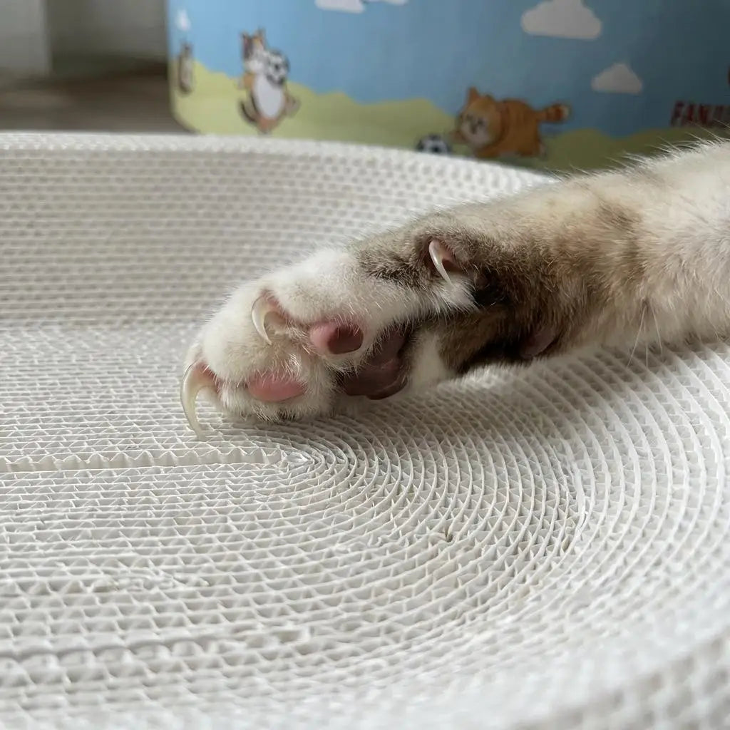 Large oval cat scratcher bed by I YAN with corrugated lounge and anti-slip base, designed for comfortable feline lounging.