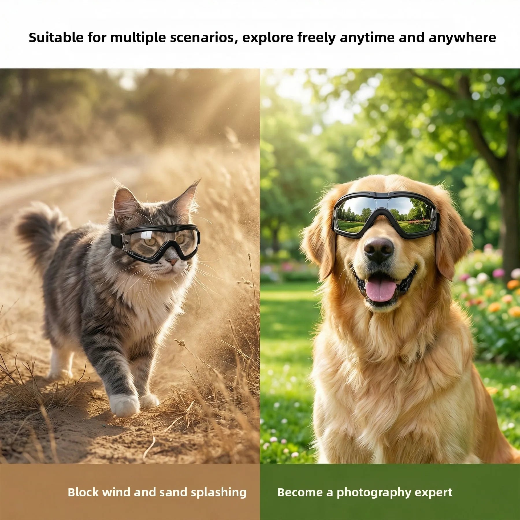 Pet Goggles Cat Glasses Pet Dog Dog Head Accessories Sunglasses Maine Cat Small Dog Schnauzer Sunglasses cat backpack carrier