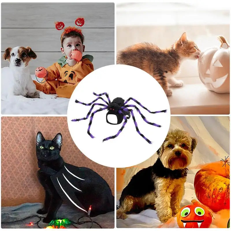 Halloween Spider Costume for Dogs & Cats – Funny Striped Pet Outfit