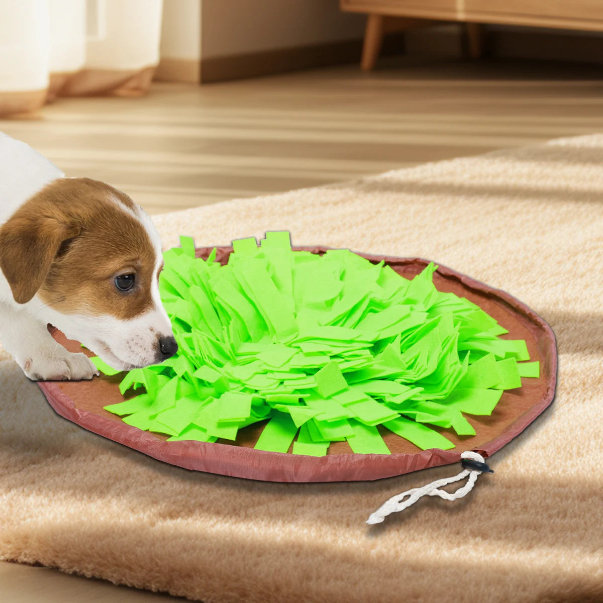 All-season Dog Sniffing Mat, Retractable Packaging, Helps Train the Sense Of Smell.