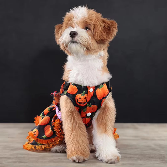 Halloween Pumpkin Skirt Dog Dress – Cute Festive Costume for Small Dogs