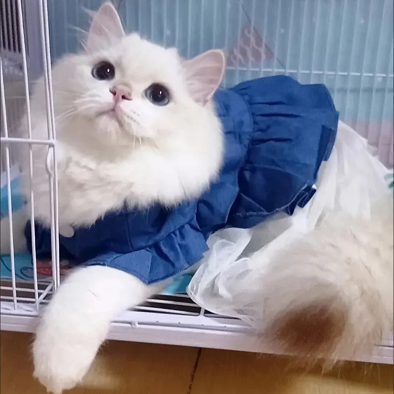 Denim Sphynx Cat Dress Skirt Summer Girl Female Pet Clothes for Cats Gotas Kitten Garfield Dresses mascotas Costume Dog Clothing