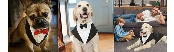 Cotton Large Dog Costume Detachable Two Pieces Dog Wedding Costume Black Dog Clothes Suit Dress Autumn Large Breeds Pet Products