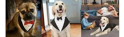 Cotton Large Dog Costume Detachable Two Pieces Dog Wedding Costume Black Dog Clothes Suit Dress Autumn Large Breeds Pet Products