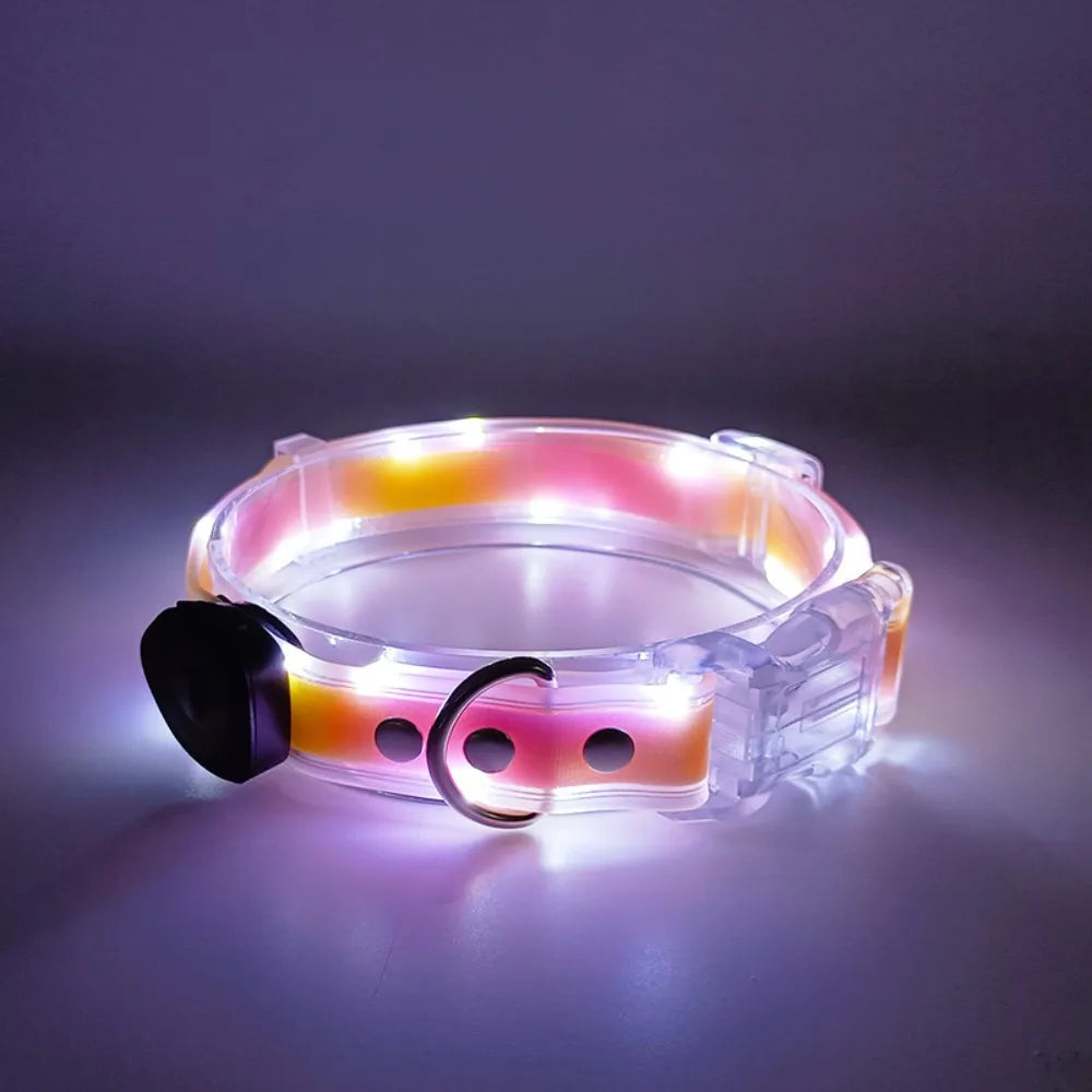 Rechargeable LED dog collar and leash set by I YAN, glow-in-the-dark safety accessories for pets in outdoor settings.