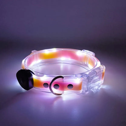 Rechargeable LED dog collar and leash set by I YAN, glow-in-the-dark safety accessories for pets in outdoor settings.