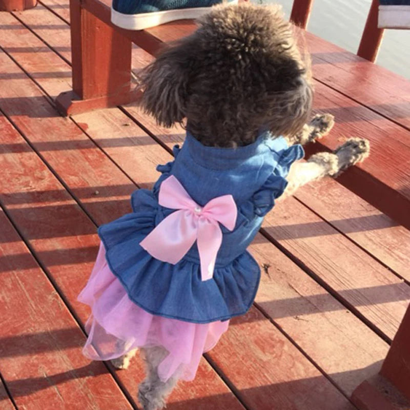 Denim Sphynx Cat Dress Skirt Summer Girl Female Pet Clothes for Cats Gotas Kitten Garfield Dresses mascotas Costume Dog Clothing