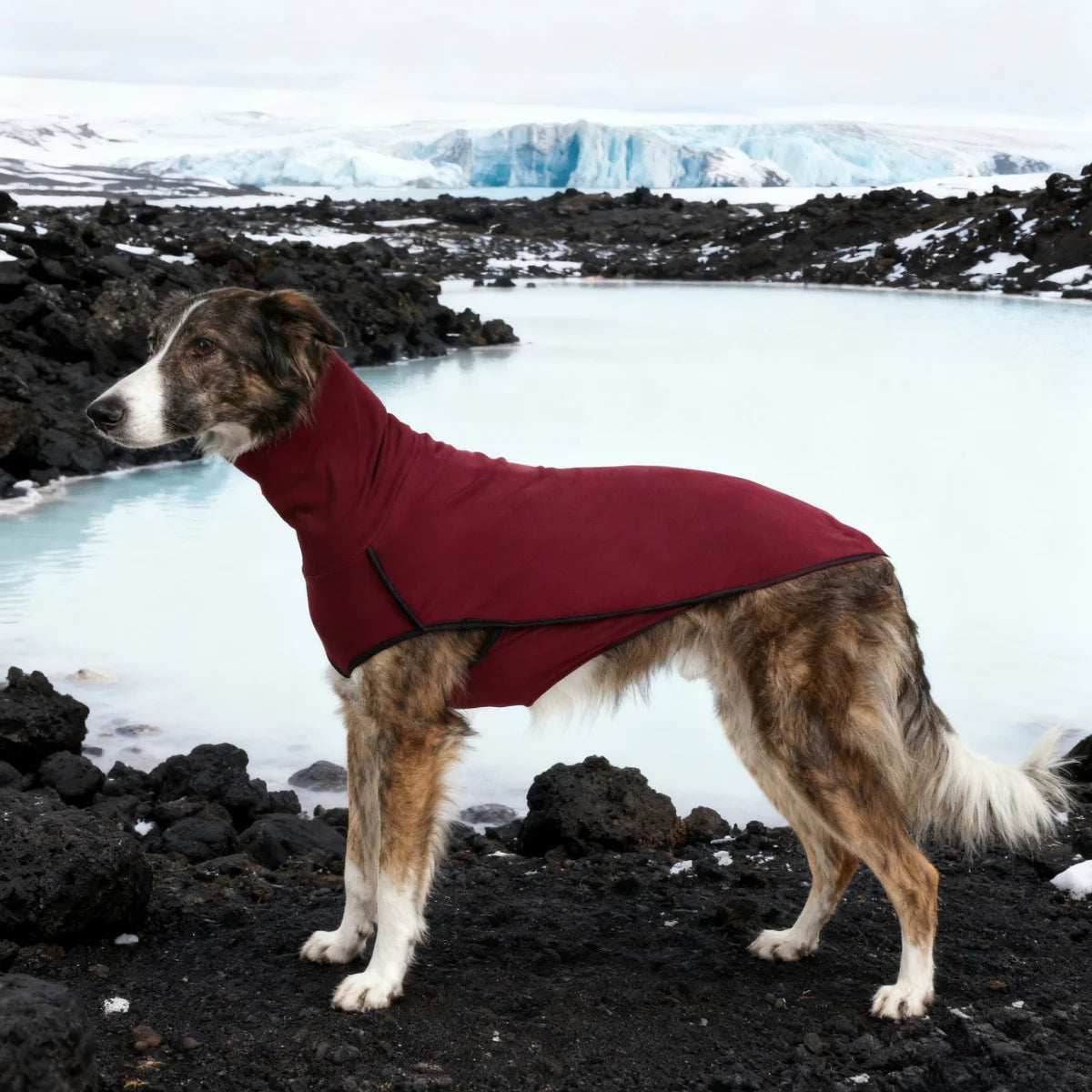 Greyhound dog winter coat and pajamas onesie with turtleneck, I YAN brand, made of stretch fabric for medium and large pets.