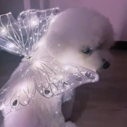 I YAN butterfly wings pet costume for dogs and cats, featuring colorful butterfly back decoration for pets.