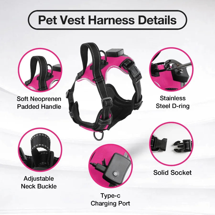 I YAN light-up dog harness for small dogs, adjustable glow LED harness with rechargeable lights for safe night walking.