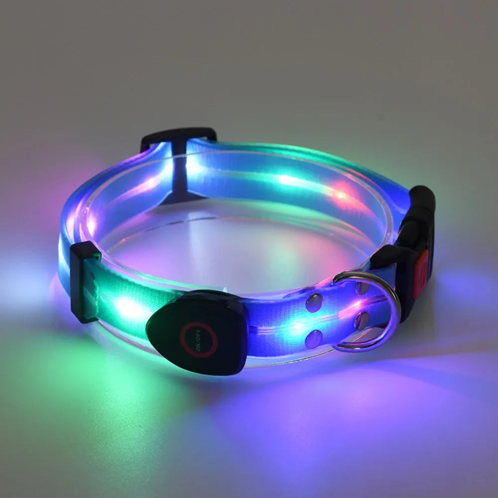 Rechargeable LED dog collar and leash set by I YAN, glow-in-the-dark safety features, visible in the image.
