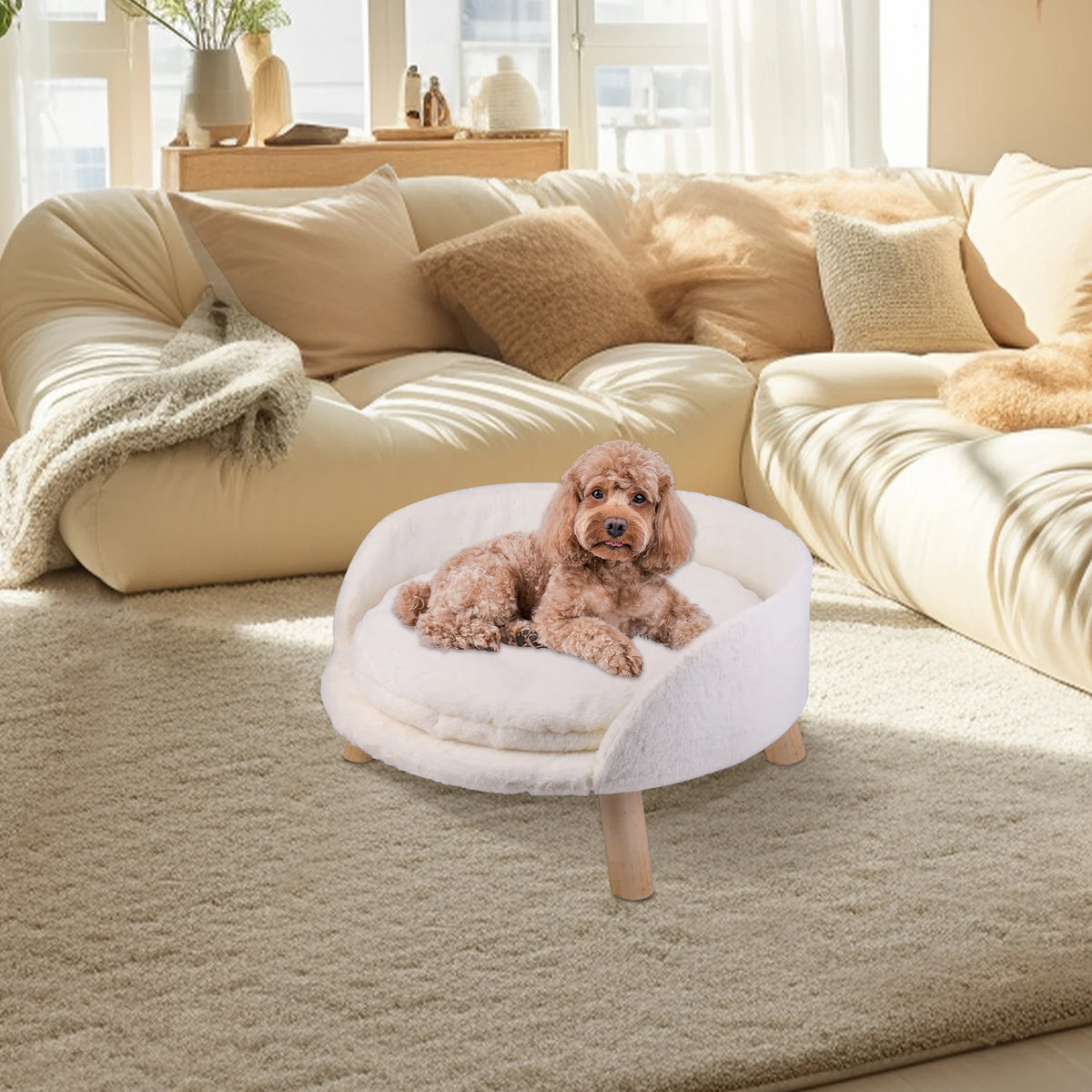 Small pet sofa bed by I YAN featuring a raised cat chair and dog couch with removable cushion for comfortable sleep.