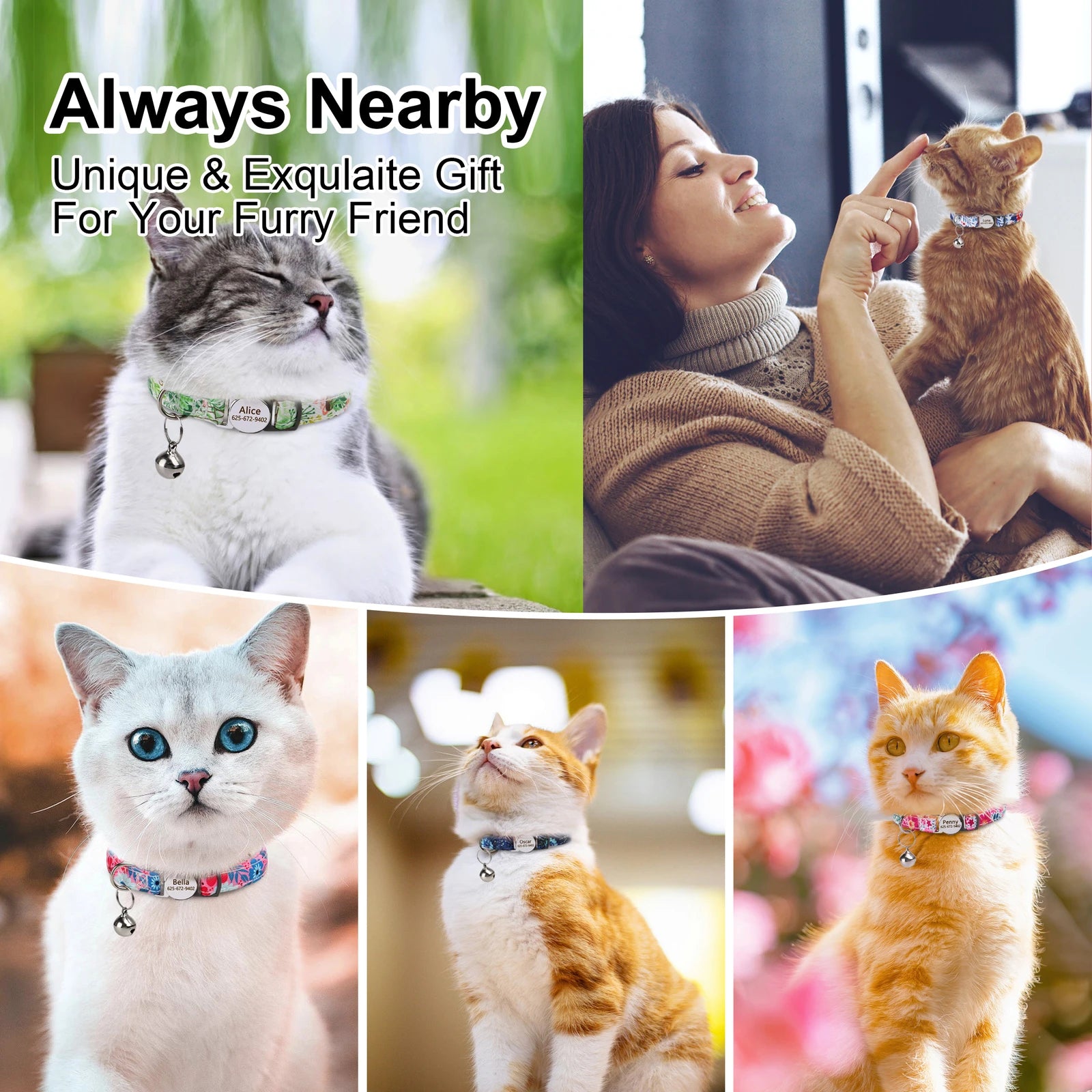 Cute Breakaway Personalized Kitten Cat Collar & Bell Safety Buckle Quick Release Custom Engraved Name ID Tag