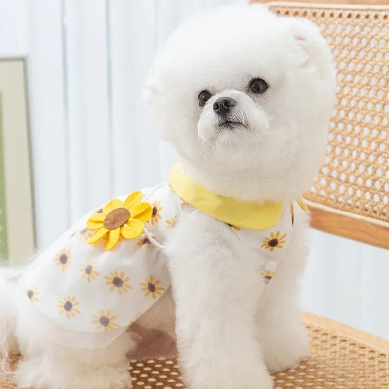 Cute dog princess dress by I YAN, featuring mesh fabric, lace details, bow accents, perfect for small pets like poodles and Chihuahuas.