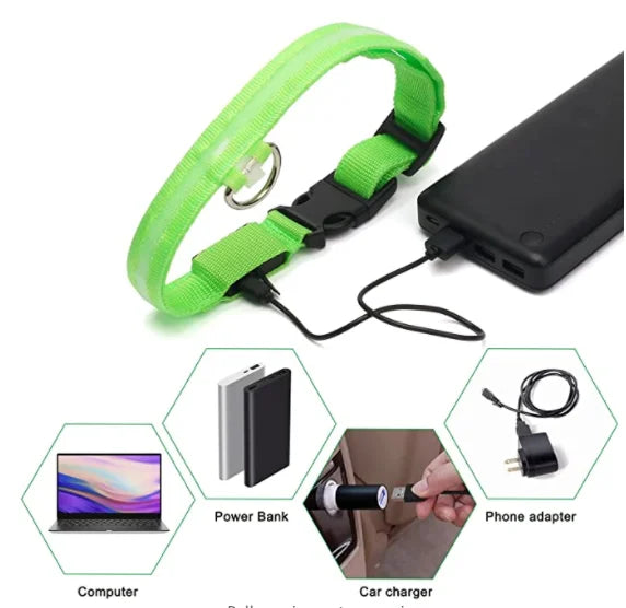 LED glowing dog collar by I YAN, USB rechargeable safety light for small dogs and cats, visible in dark conditions