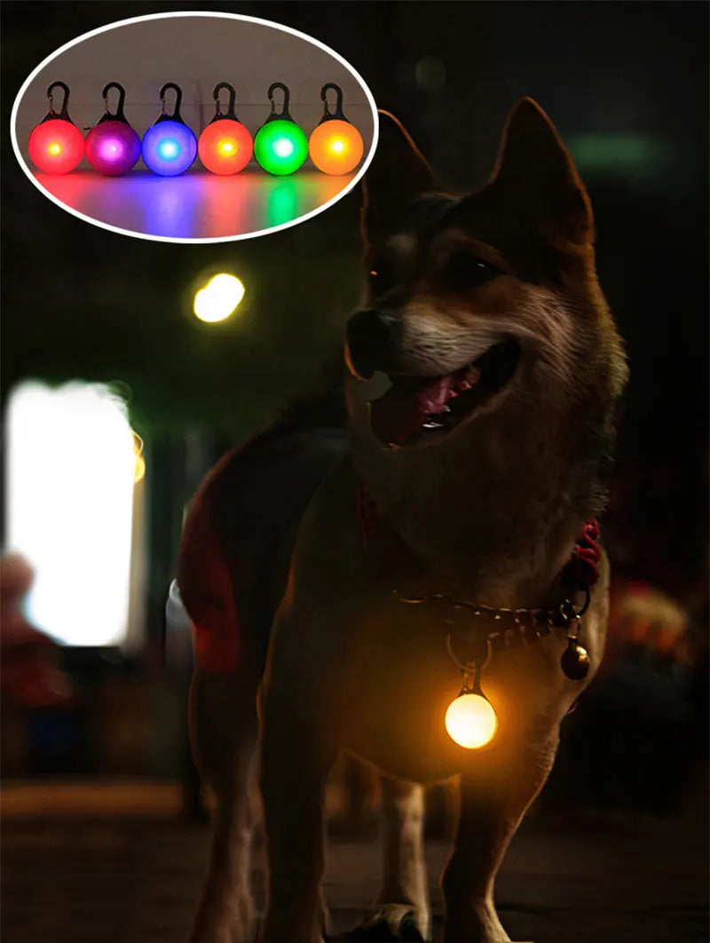 LED luminous dog and cat collar with glowing pendant, bright safety necklace by I YAN, perfect for nighttime pet visibility.