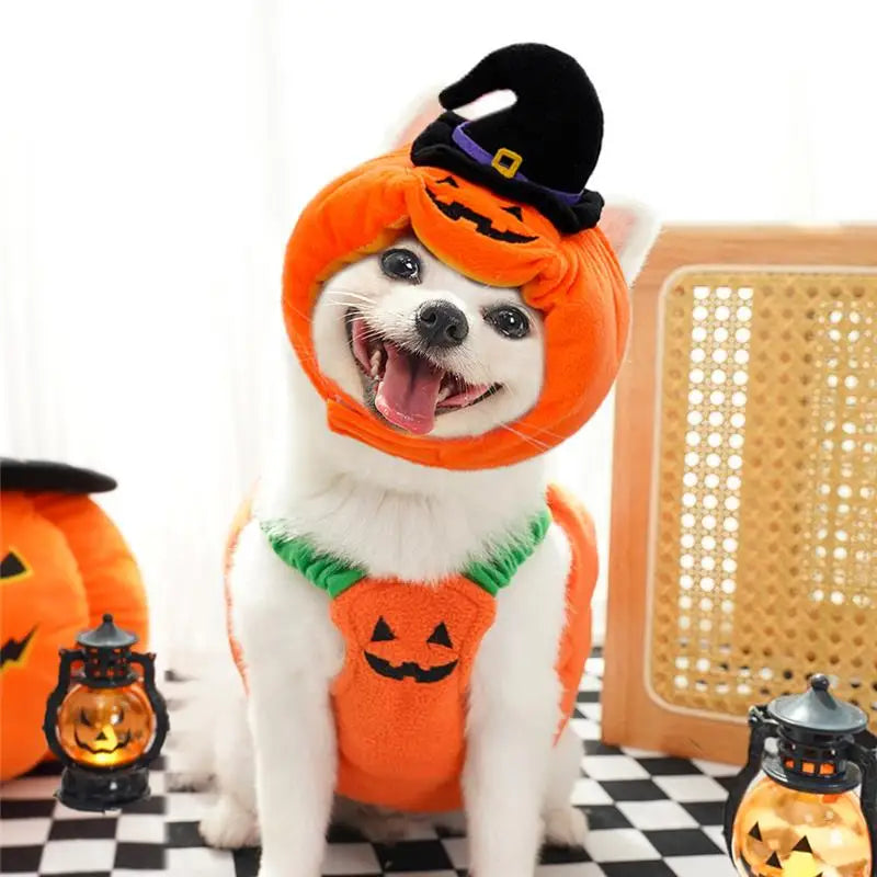 Halloween Dog Costume Pumpkin Light Clothing Teddy Bichon Small Dog Transformation Suit Pet Apparel Functional Winter Wear