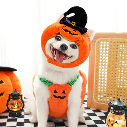 Halloween Dog Costume Pumpkin Light Clothing Teddy Bichon Small Dog Transformation Suit Pet Apparel Functional Winter Wear