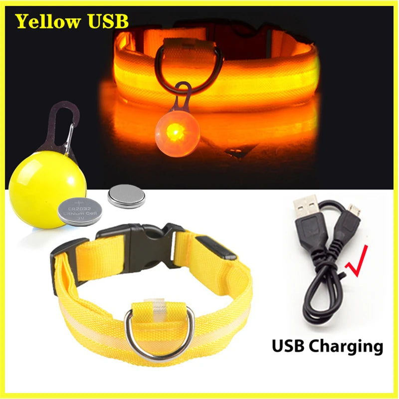 USB rechargeable LED glowing dog collar by I YAN, night safety light for small dogs and cats with bright illumination.