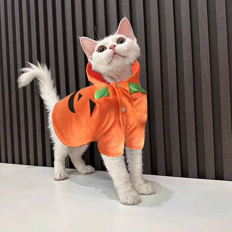 Pet Clothing, Pumpkin, Funny Clothing,  Cute Halloween Clothing, Dog Clothing