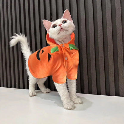 Pet Clothing, Pumpkin, Funny Clothing,  Cute Halloween Clothing, Dog Clothing