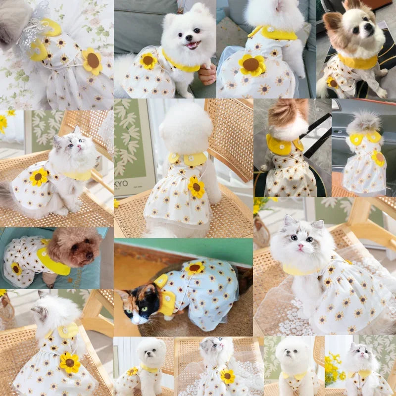 Cute dog princess dress by I YAN featuring mesh fabric, lace accents, bow, and colorful summer design for small dogs and puppies.
