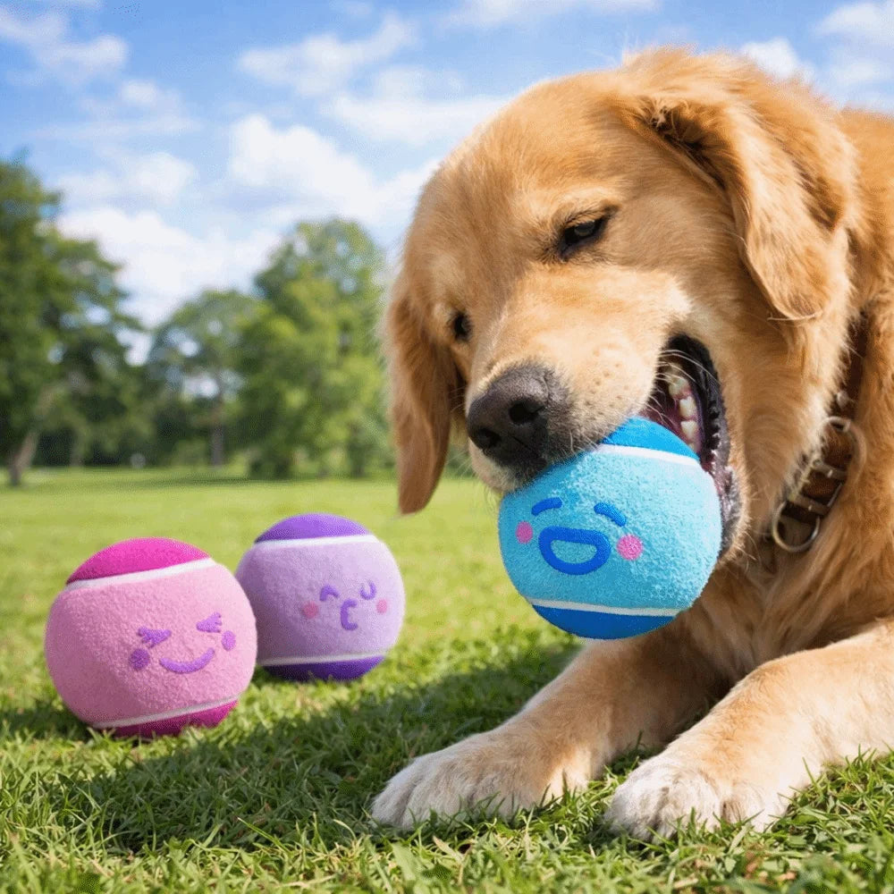 3 pieces Elastic Pet Tennis Ball Eco Friendly Color Blocked Dog Chew Toy Squeaky Sound Cartoon Pattern Pet Bouncy Ball Training