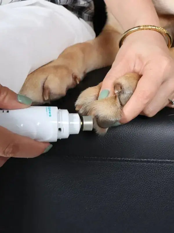 I YAN quiet electric pet nail grinder with USB rechargeability, suitable for trimming dog and cat claws.
