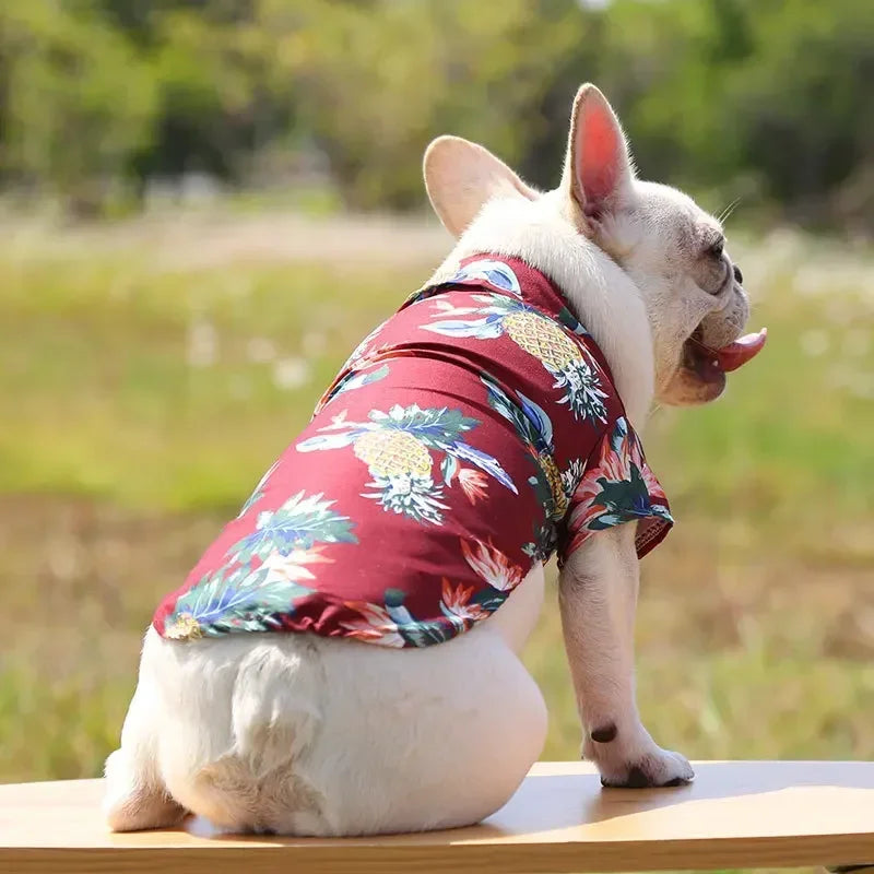 I YAN Hawaiian style summer dog shirt for small and medium dogs, featuring a sand beach design for puppies, pugs, and French Bulldogs.