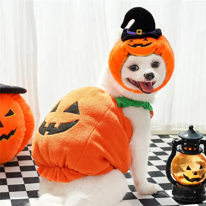 Halloween Dog Costume Pumpkin Light Clothing Teddy Bichon Small Dog Transformation Suit Pet Apparel Functional Winter Wear