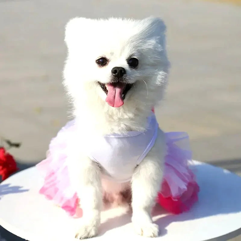 Spring dog lace dress by I YAN, small pet costume with floral lace design for birthday, wedding, or party occasions.