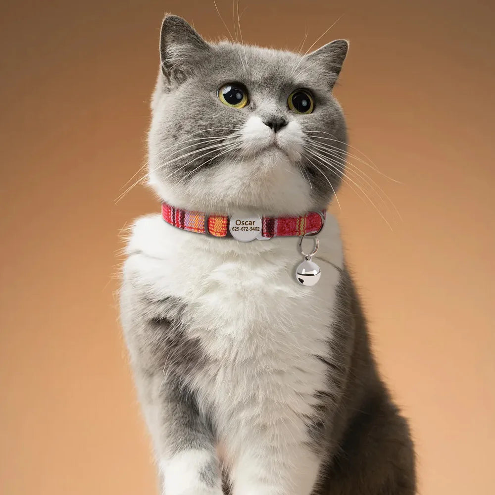 Cute Breakaway Personalized Kitten Cat Collar & Bell Safety Buckle Quick Release Custom Engraved Name ID Tag