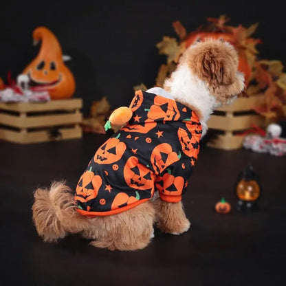 Pumpkin Halloween Costume for Dogs & Cats – Cute Festive Pet Outfit