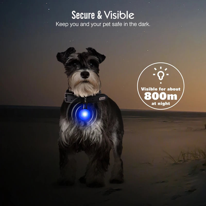 USB rechargeable LED glowing dog collar from I YAN, visible with bright safety light for small dogs and cats at night.