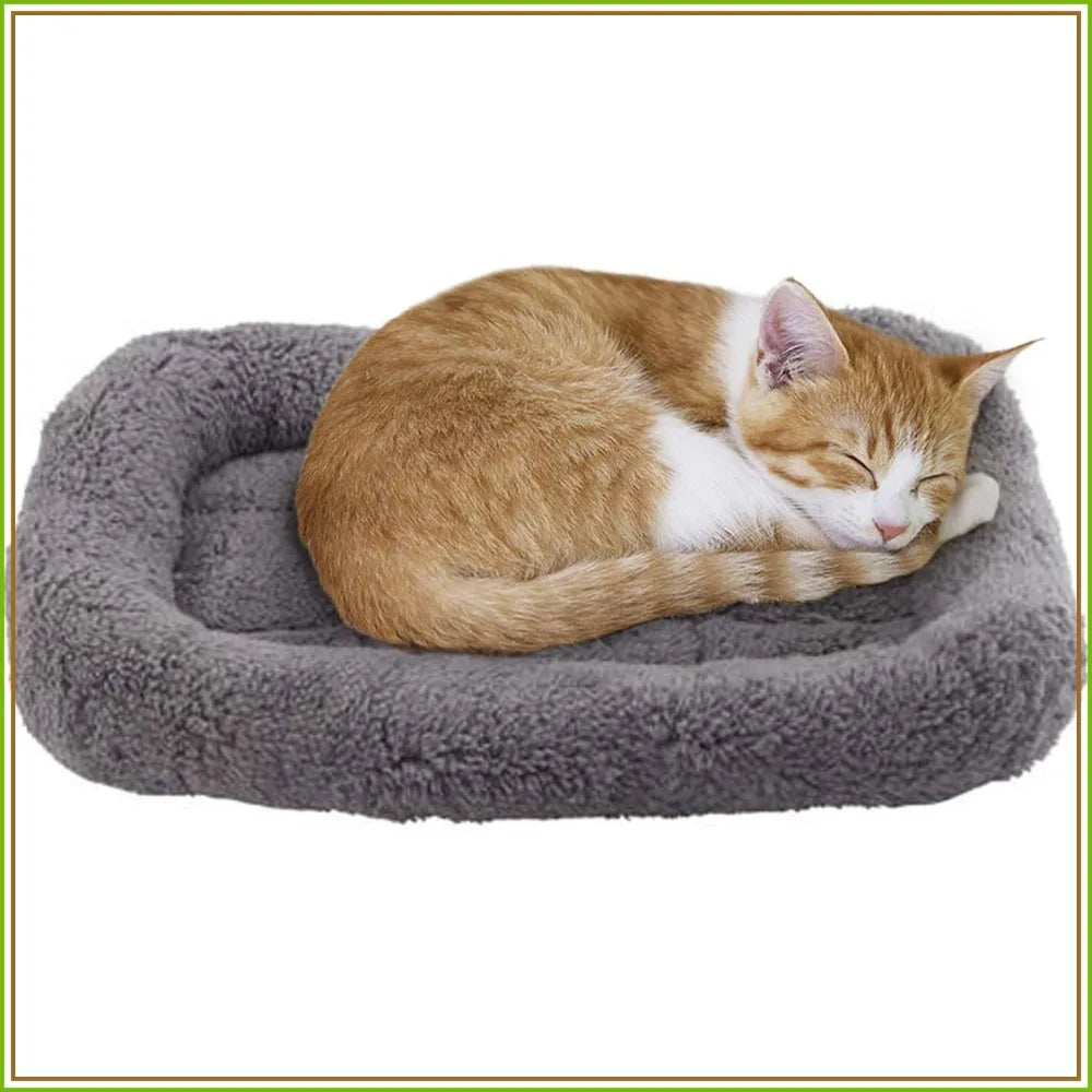 Soft Cat Bed with Raised Rim, 15x10 inch, Machine Washable, Non-Slip Bottom, for Small Pets